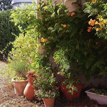 Remereville Chambre D'Hote Les Avettes المظهر الخارجي الصورة